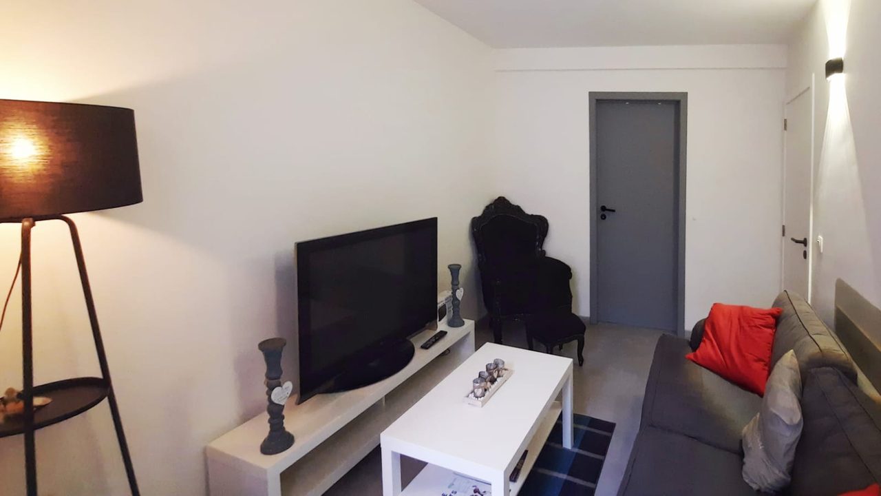 Le salon avec télévision